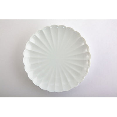 Japanese plate　White porcelain, "Kikuwari" chrysanthemum split 19cm（1 set of 2 pieces）